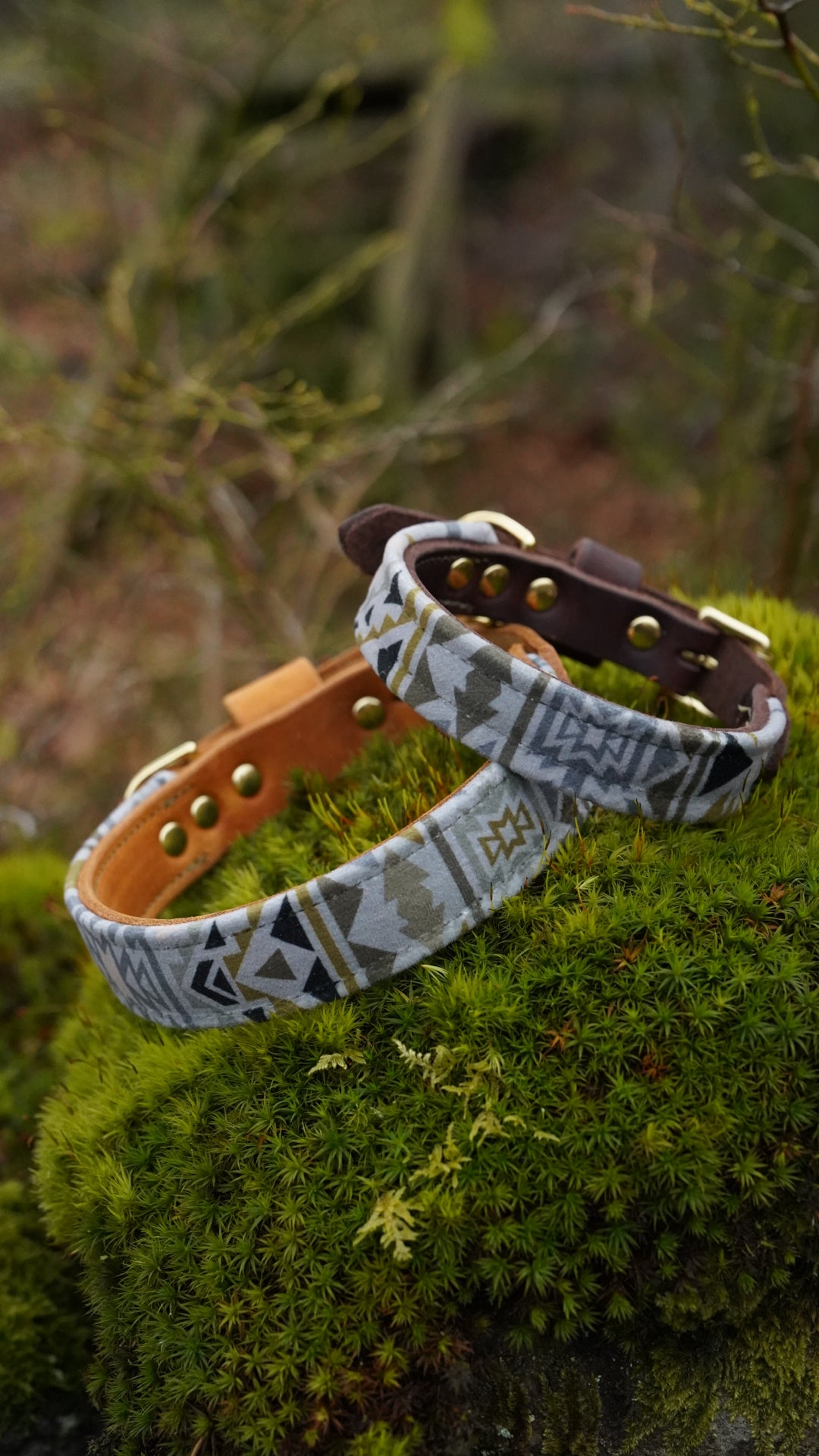 Cobalt - Luxury Buckle Collar - Velvet