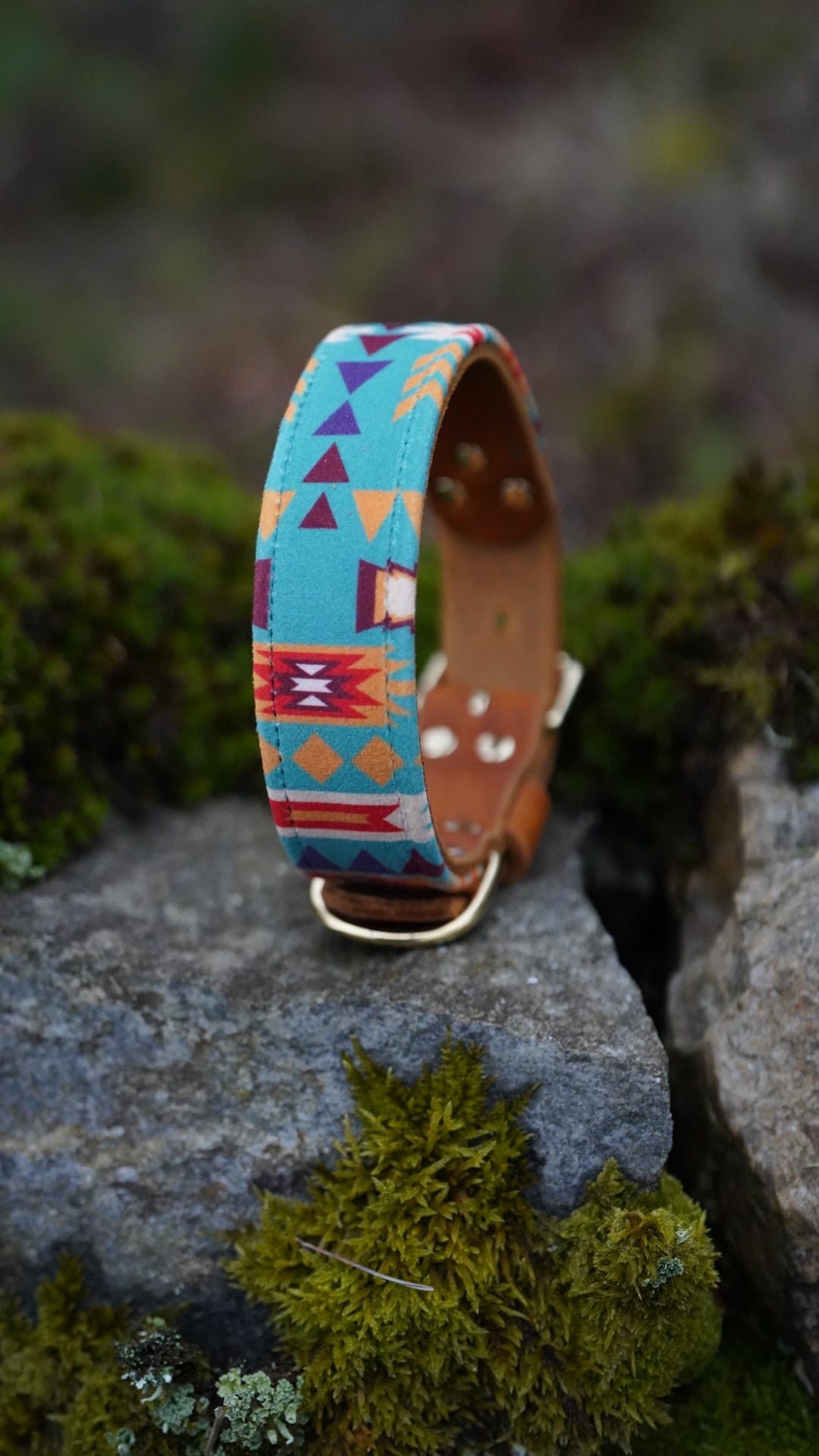 Azure - Luxury Buckle Collar - Velvet