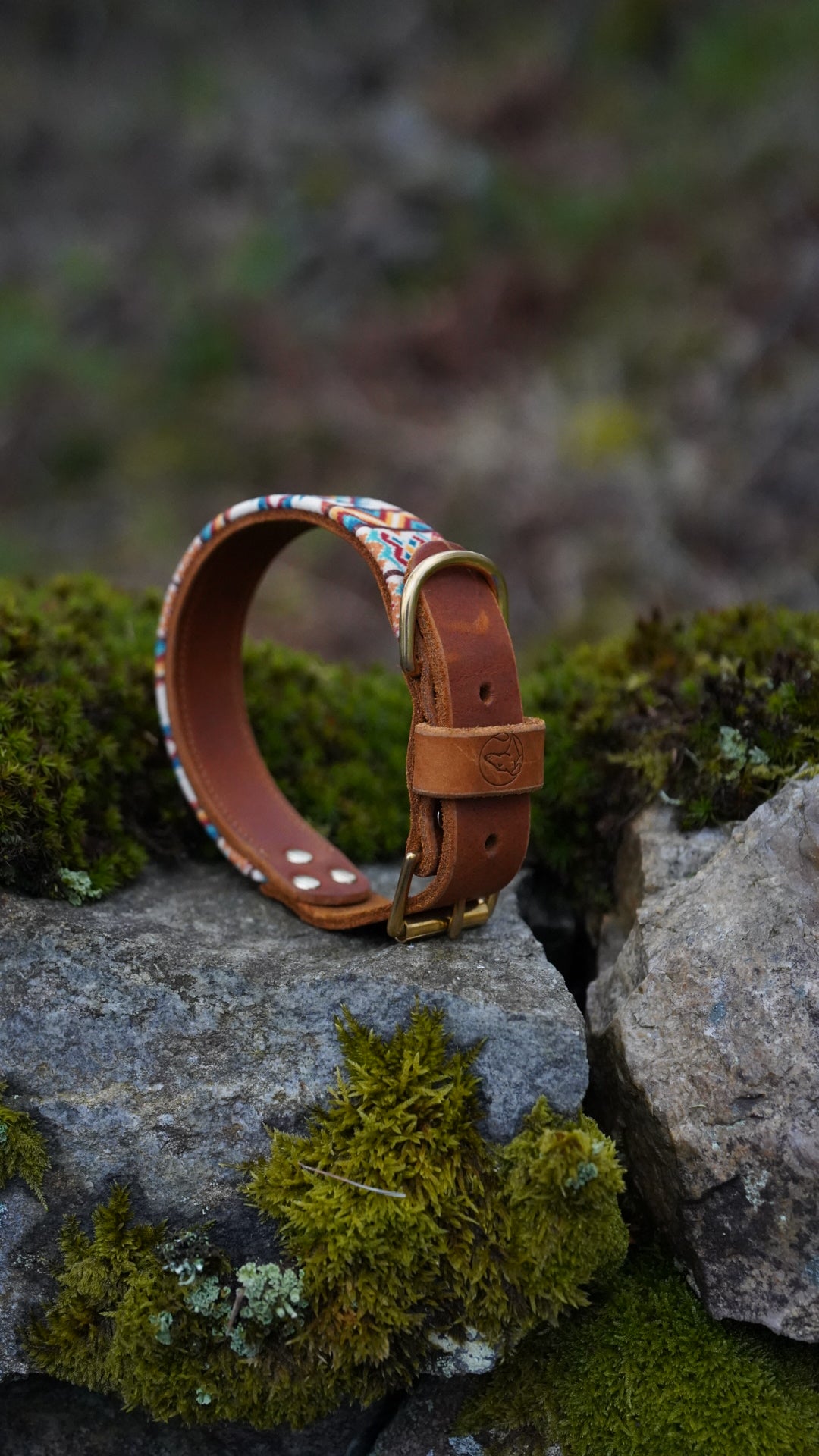 Prism - Luxury Buckle Collar - Velvet