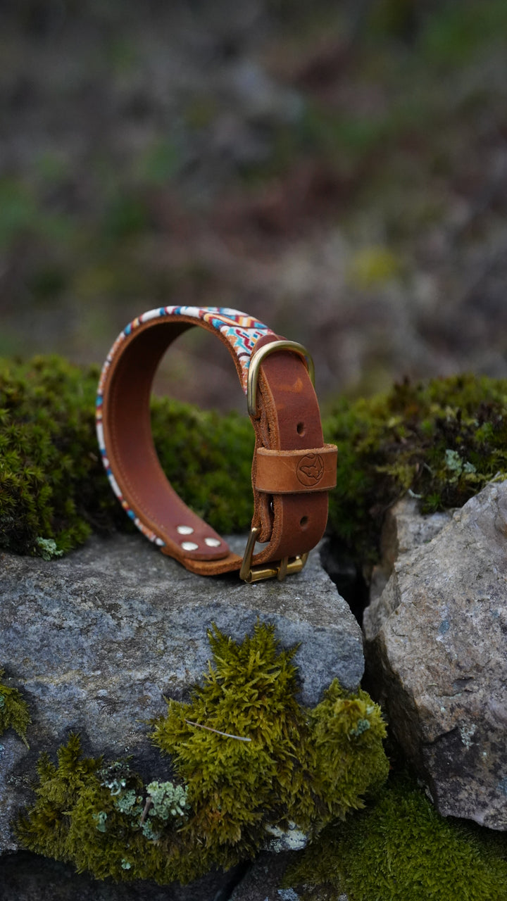 Prism - Luxury Buckle Collar - Velvet