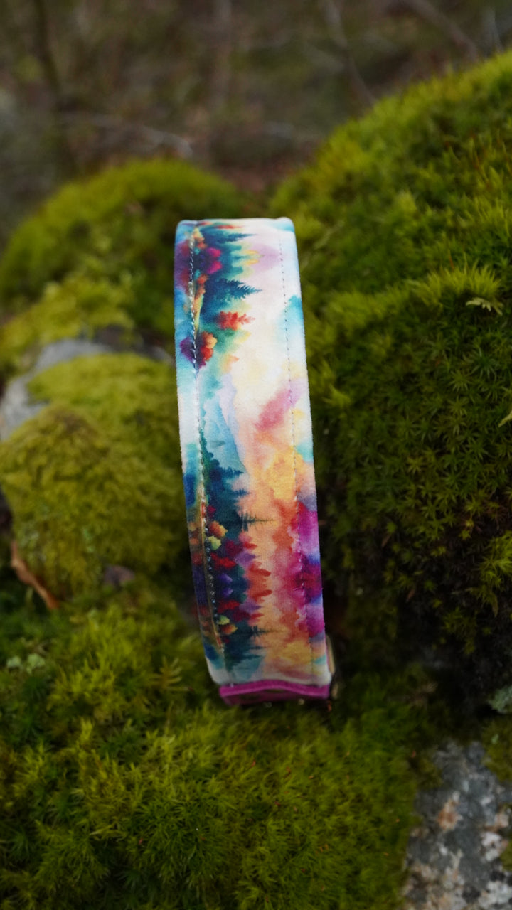 Harmony - Luxury Buckle Collar - Velvet