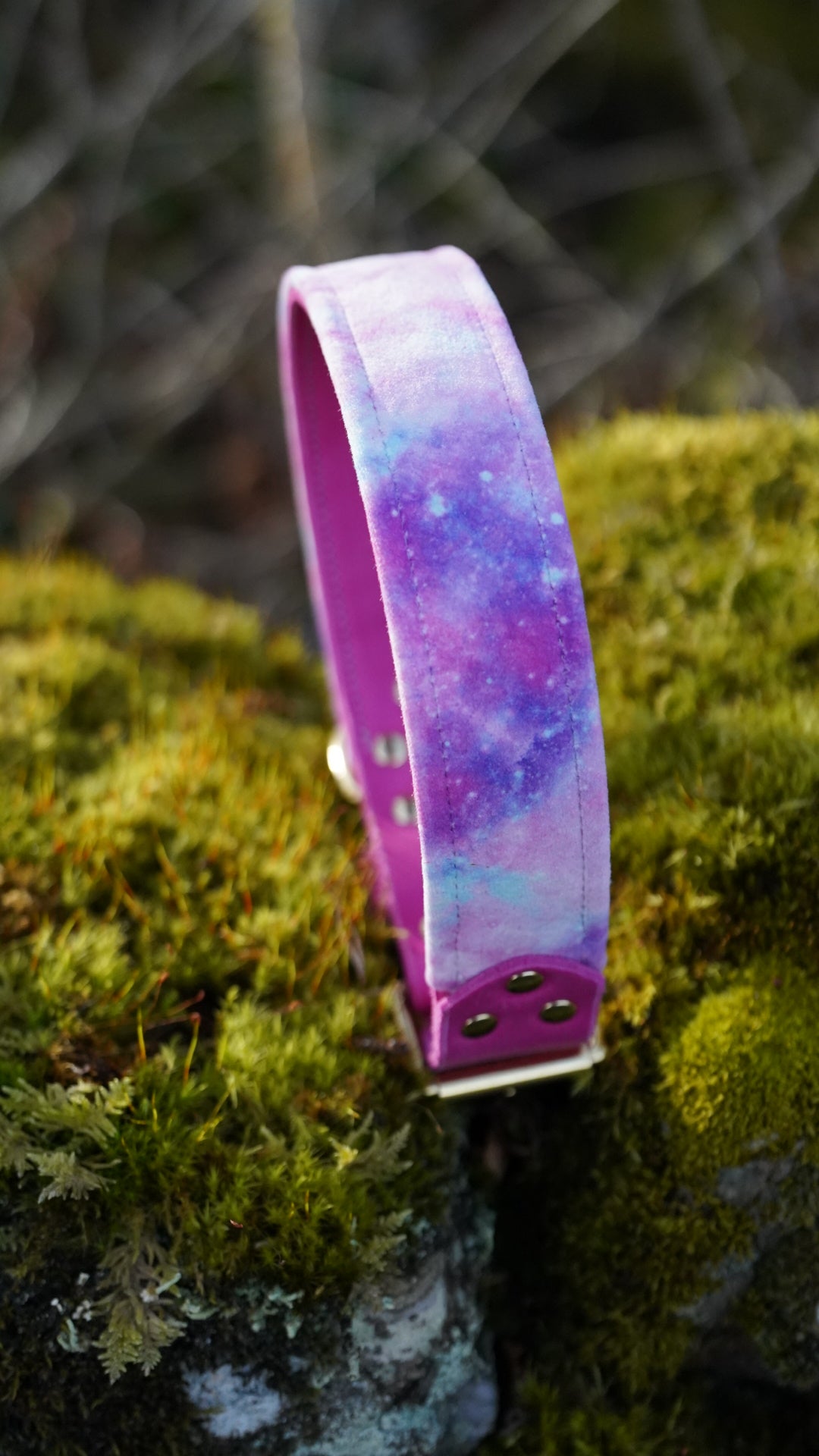 Celeste - Luxury Buckle Collar - Velvet