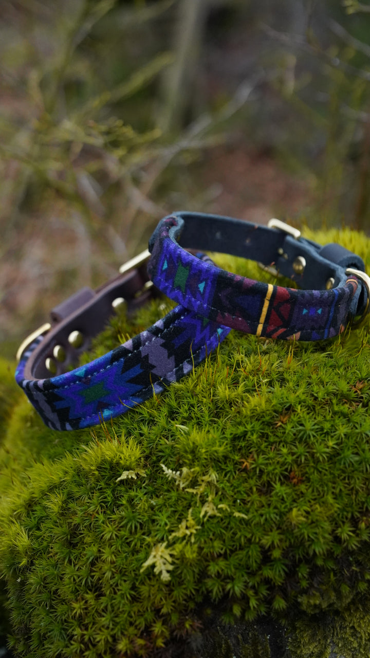 Lapis - Luxury Buckle Collar - Velvet