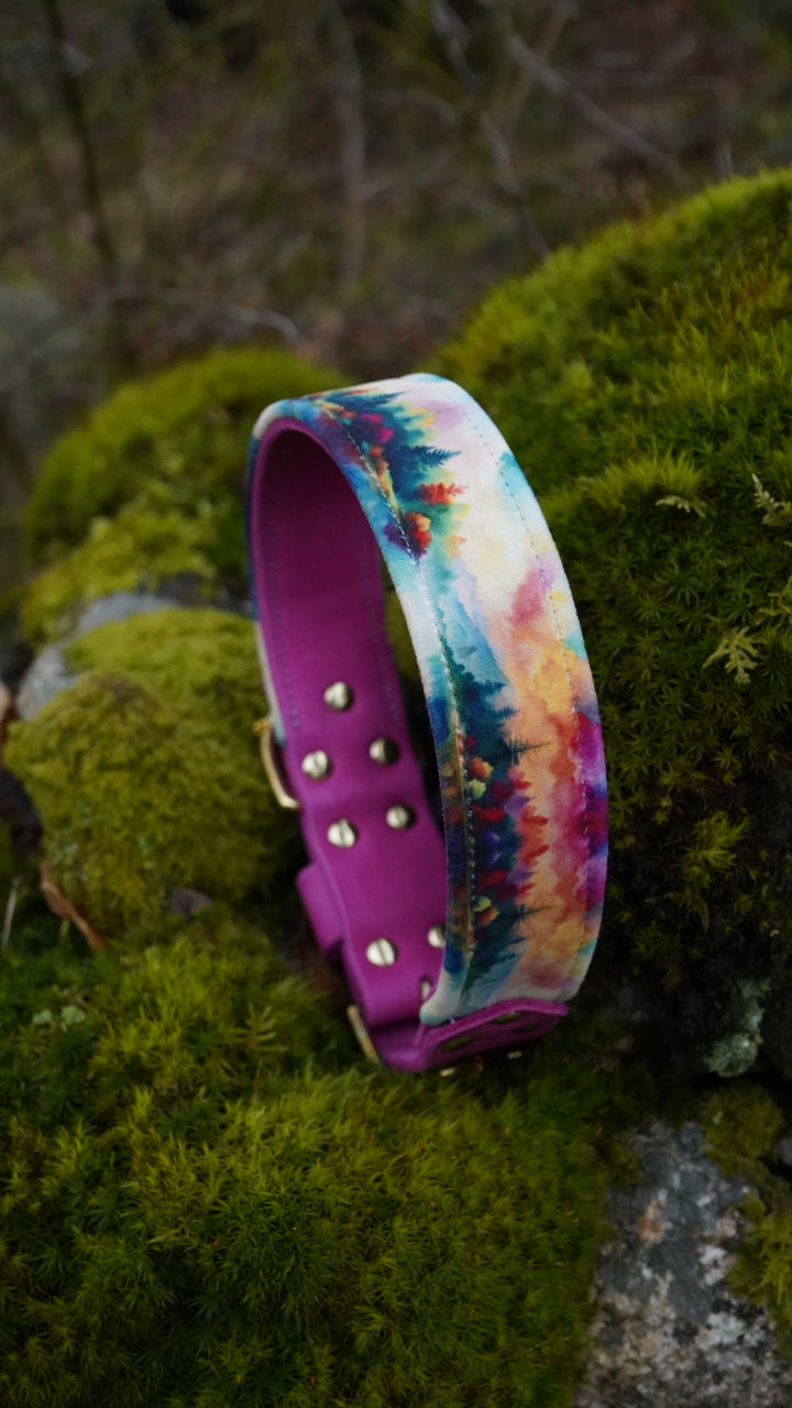 Harmony - Luxury Buckle Collar - Velvet