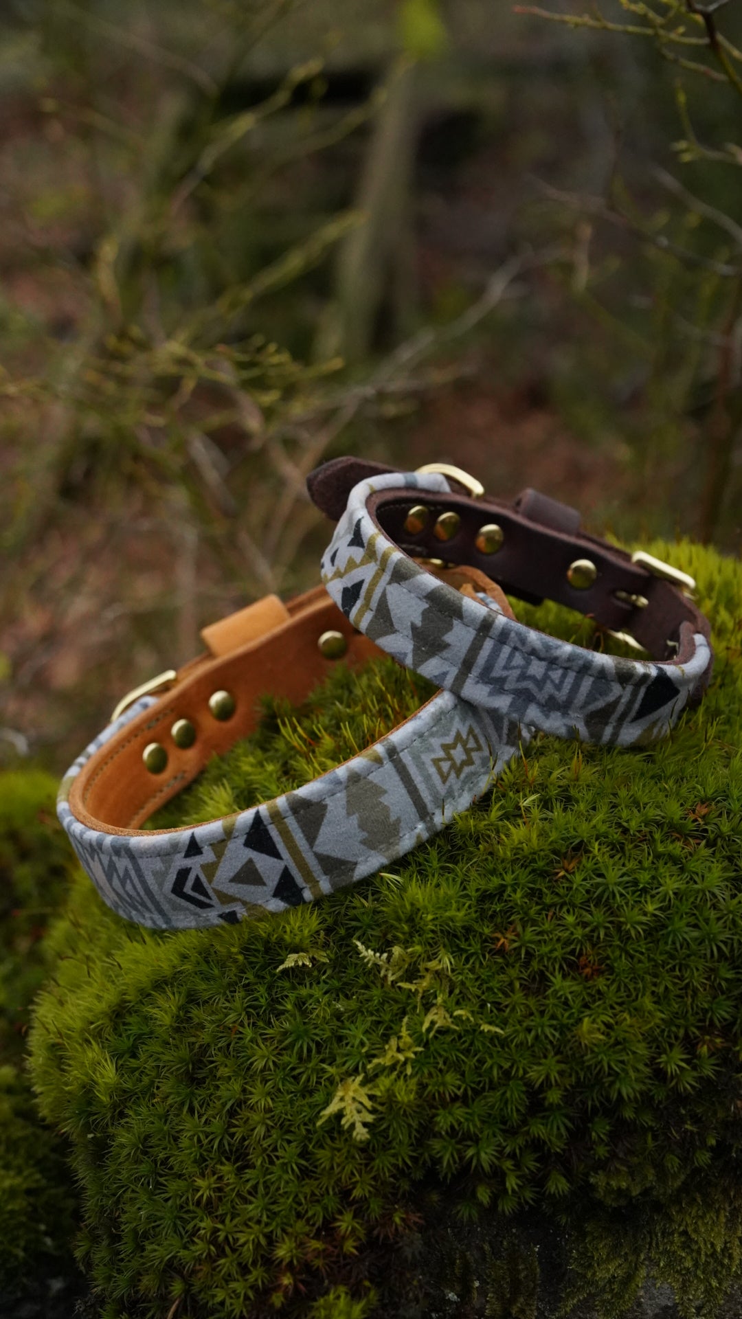 Cobalt - Luxury Buckle Collar - Velvet