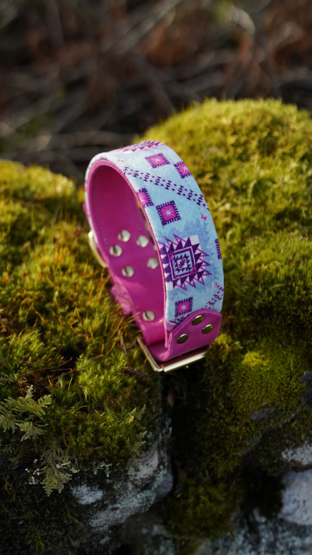 Elder - Luxury Buckle Collar - Velvet