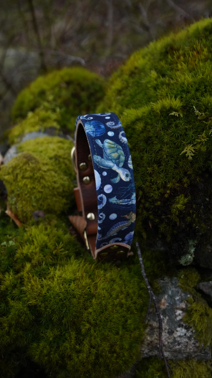 Waterworld - Luxury Buckle Collar - Velvet