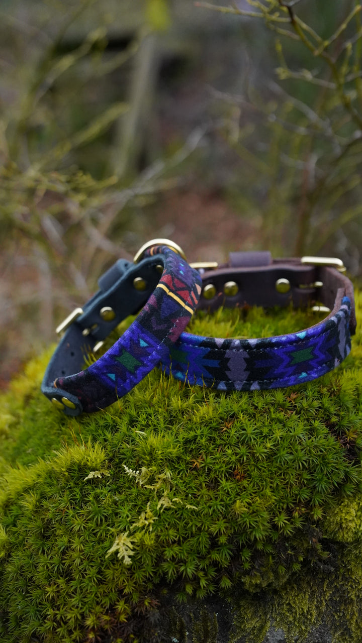 Lapis - Luxury Buckle Collar - Velvet
