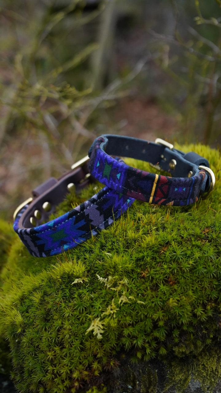 Lapis - Luxury Buckle Collar - Velvet