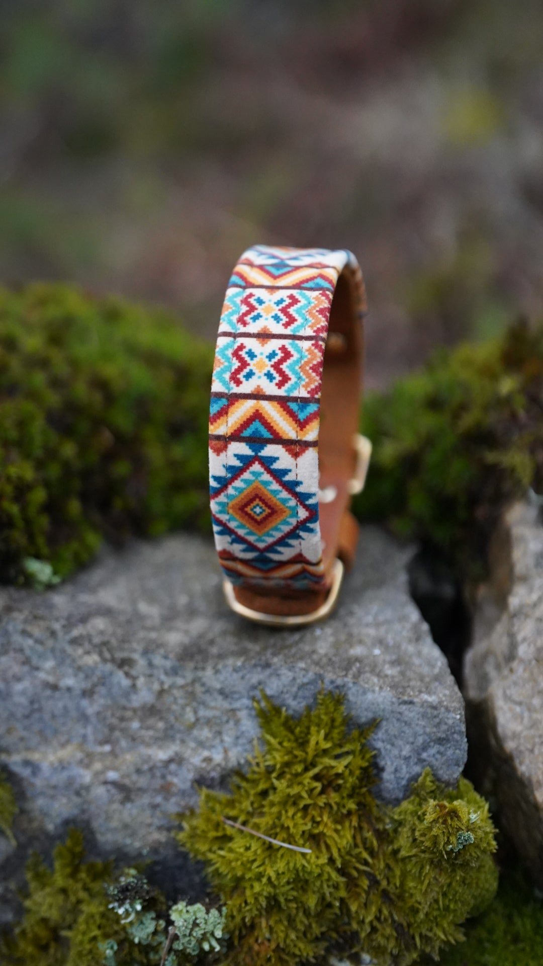 Prism - Luxury Buckle Collar - Velvet