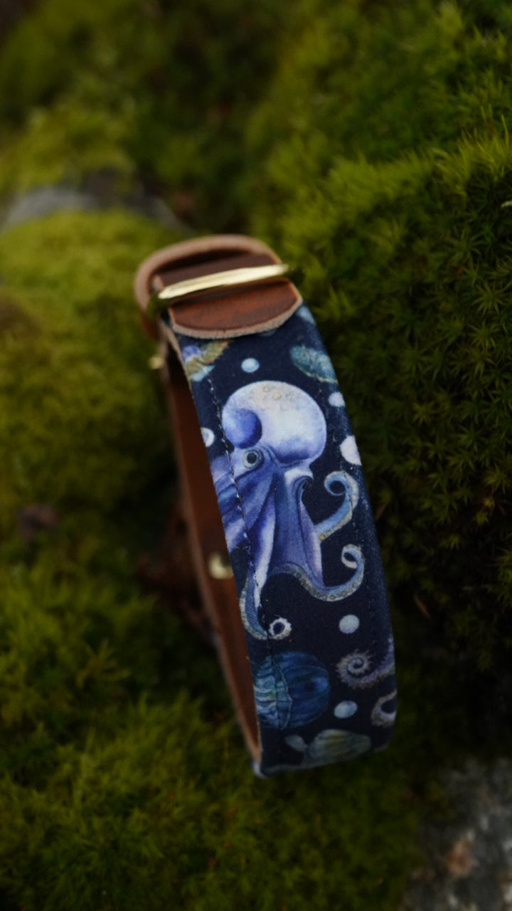 Waterworld - Luxury Buckle Collar - Velvet