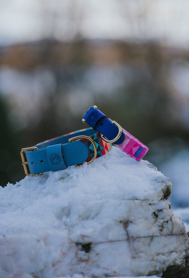 Orbit - Luxury Buckle Collar - Velvet