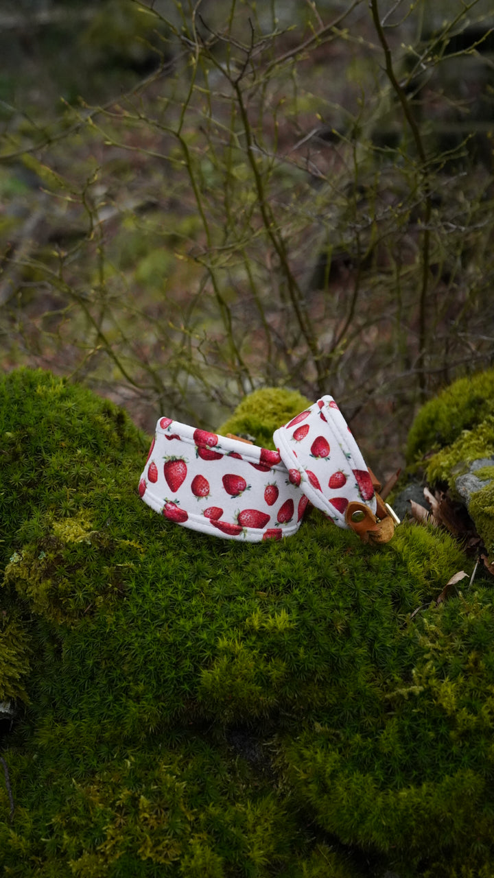 Strawberry Fields - Signature Collar - Velvet