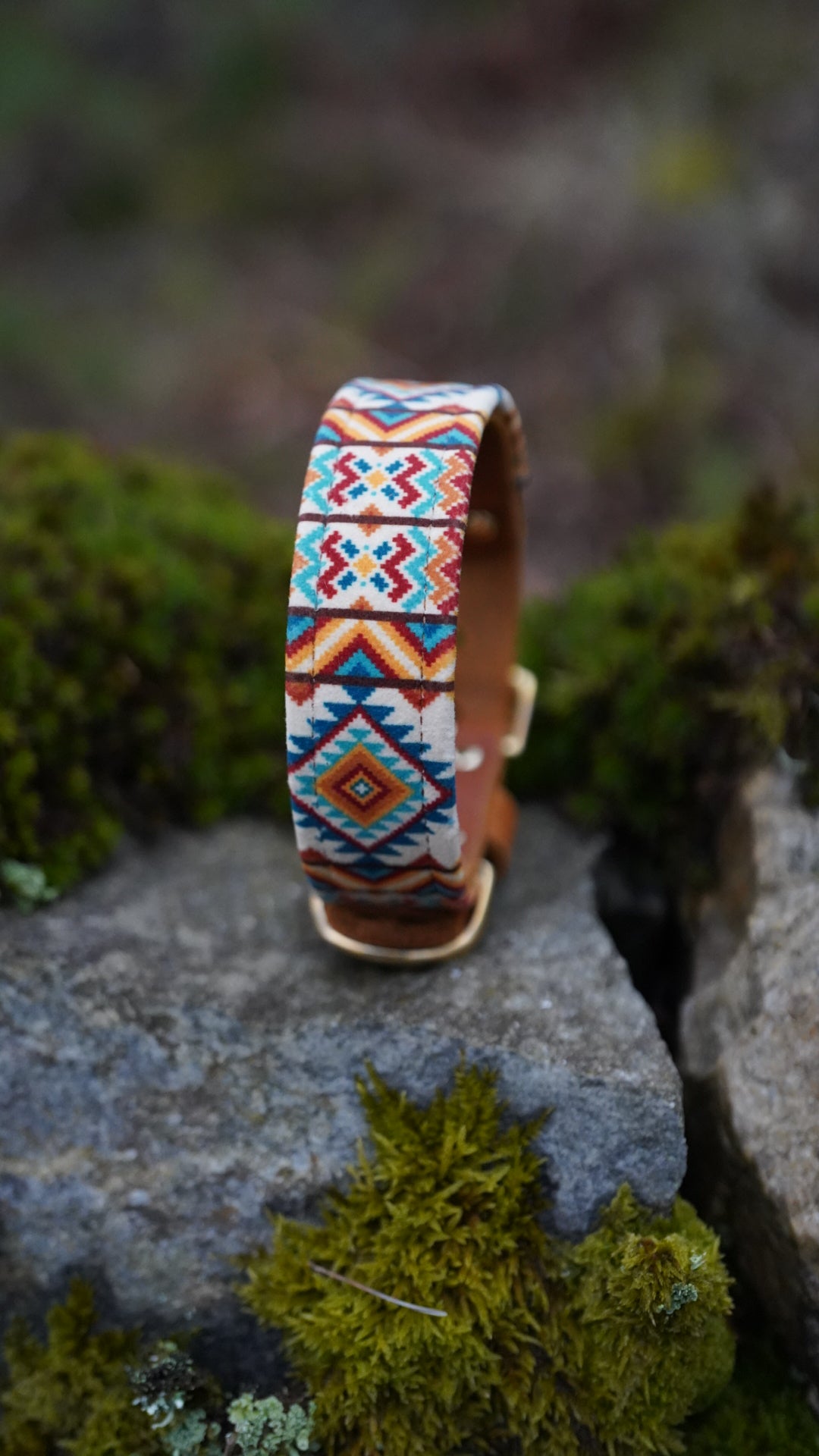 Prism - Luxury Buckle Collar - Velvet