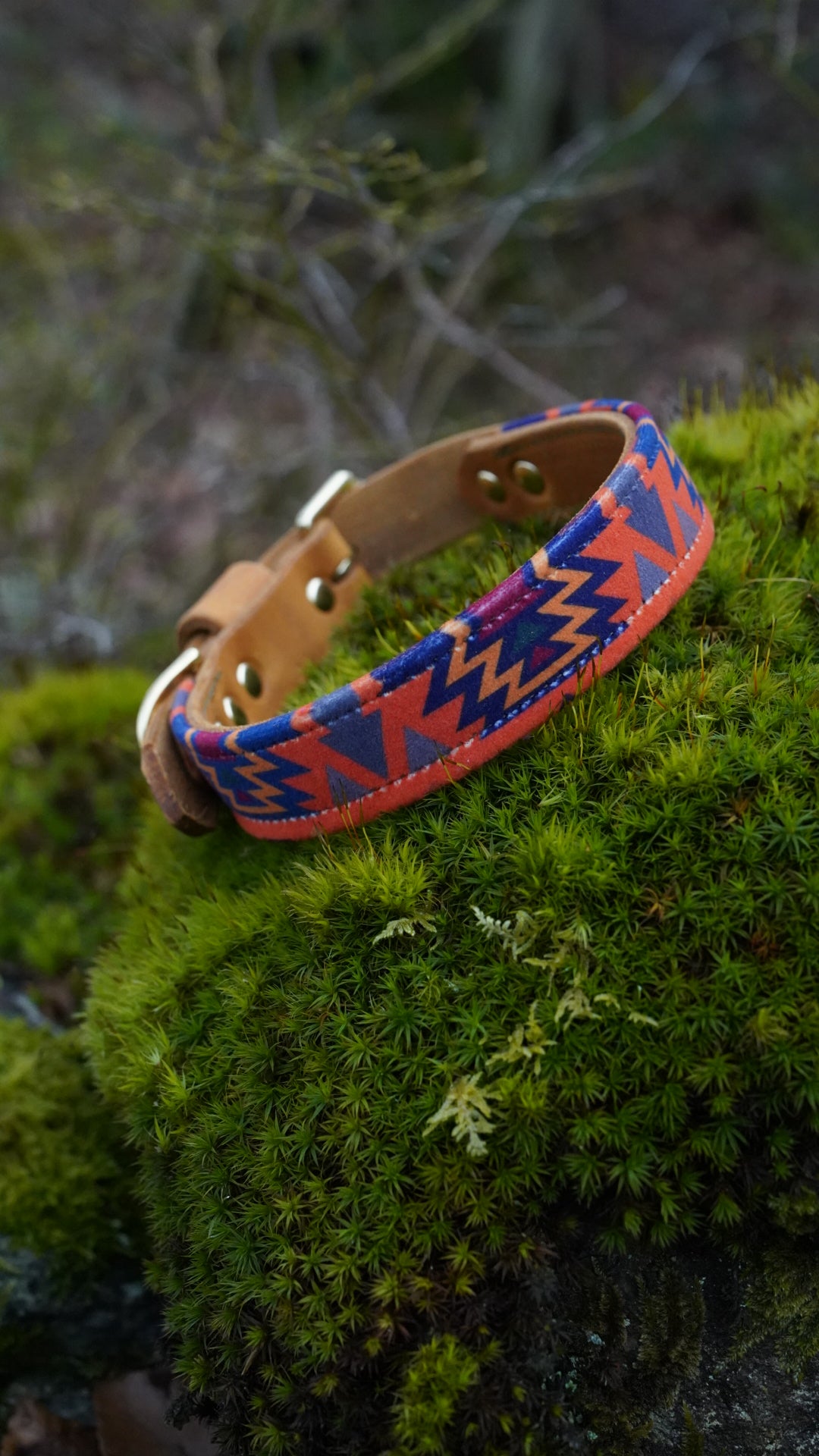 Cinder - Luxury Buckle Collar - Velvet