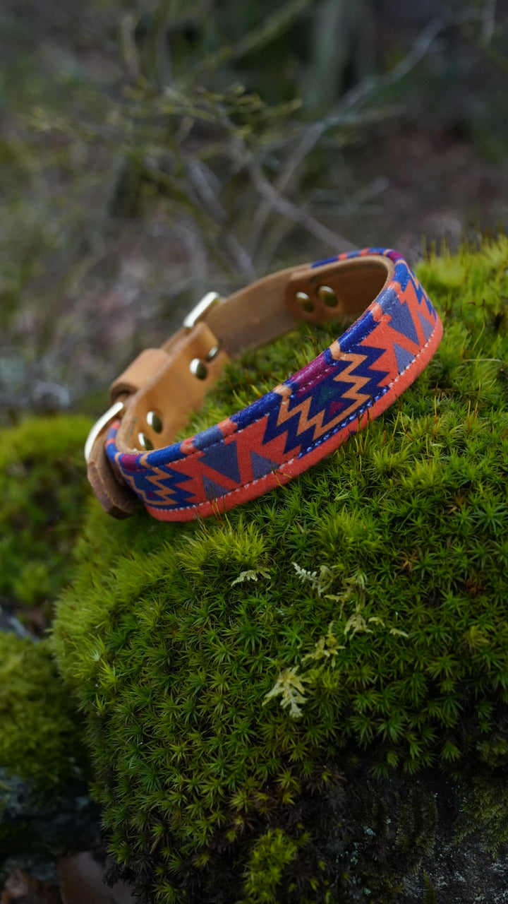 Cinder - Luxury Buckle Collar - Velvet