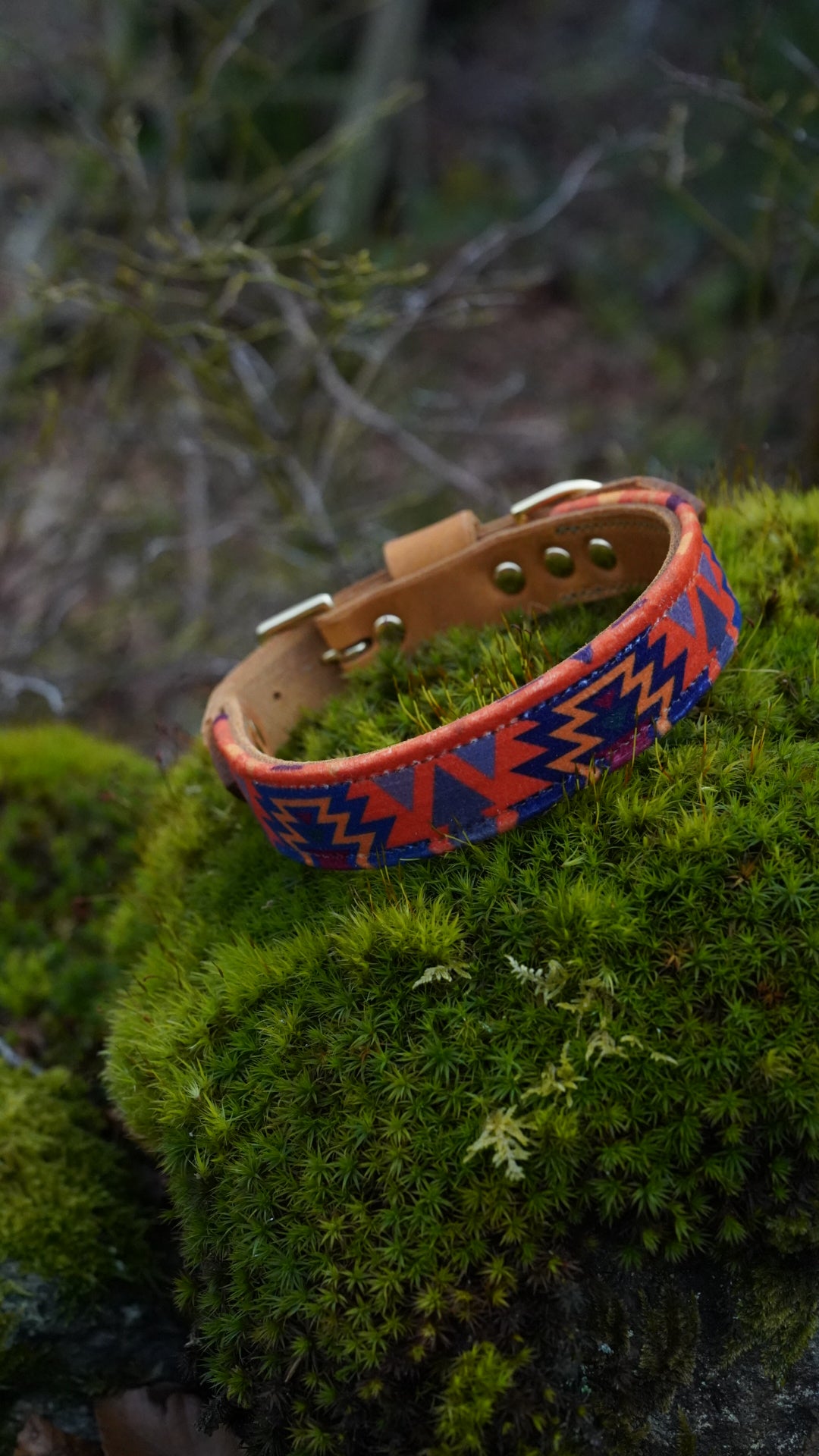 Cinder - Luxury Buckle Collar - Velvet