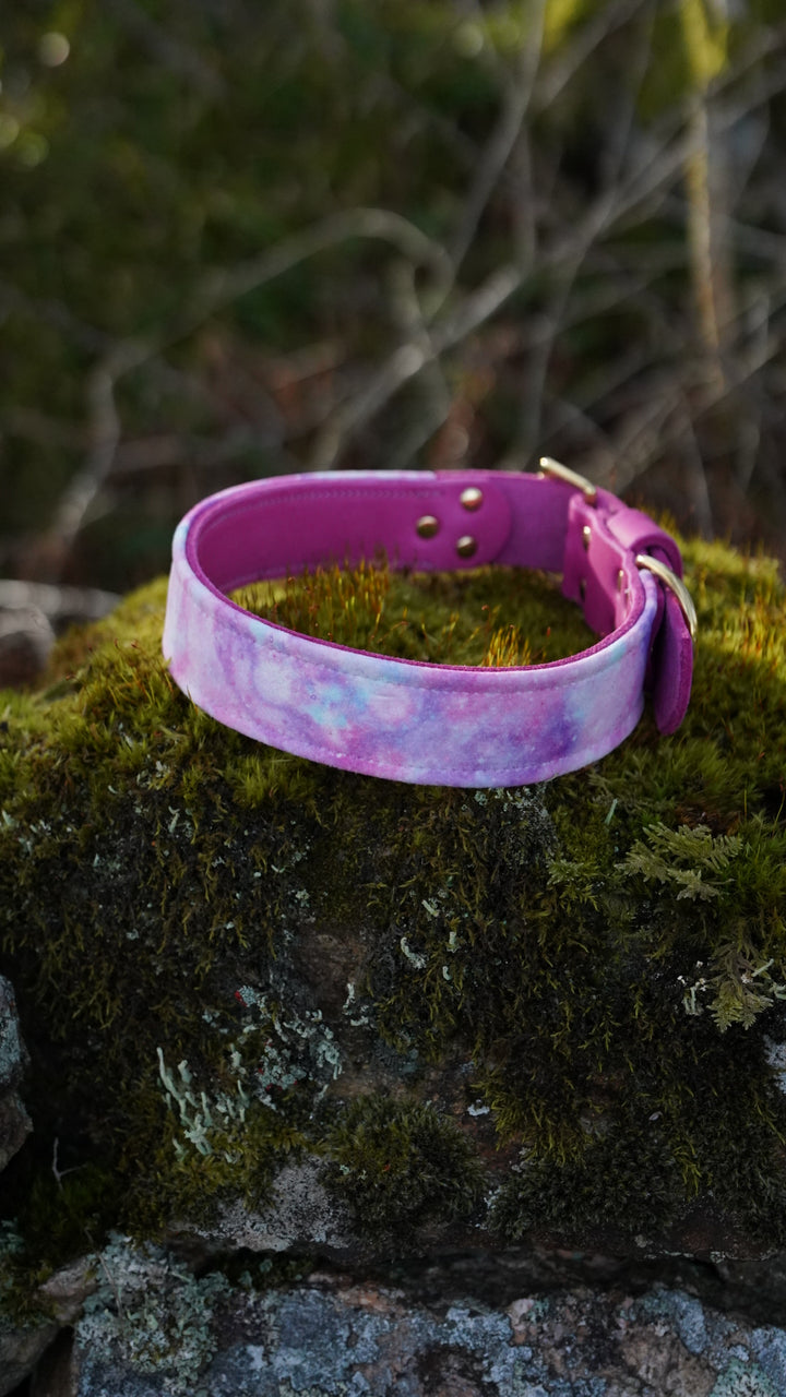 Celeste - Luxury Buckle Collar - Velvet