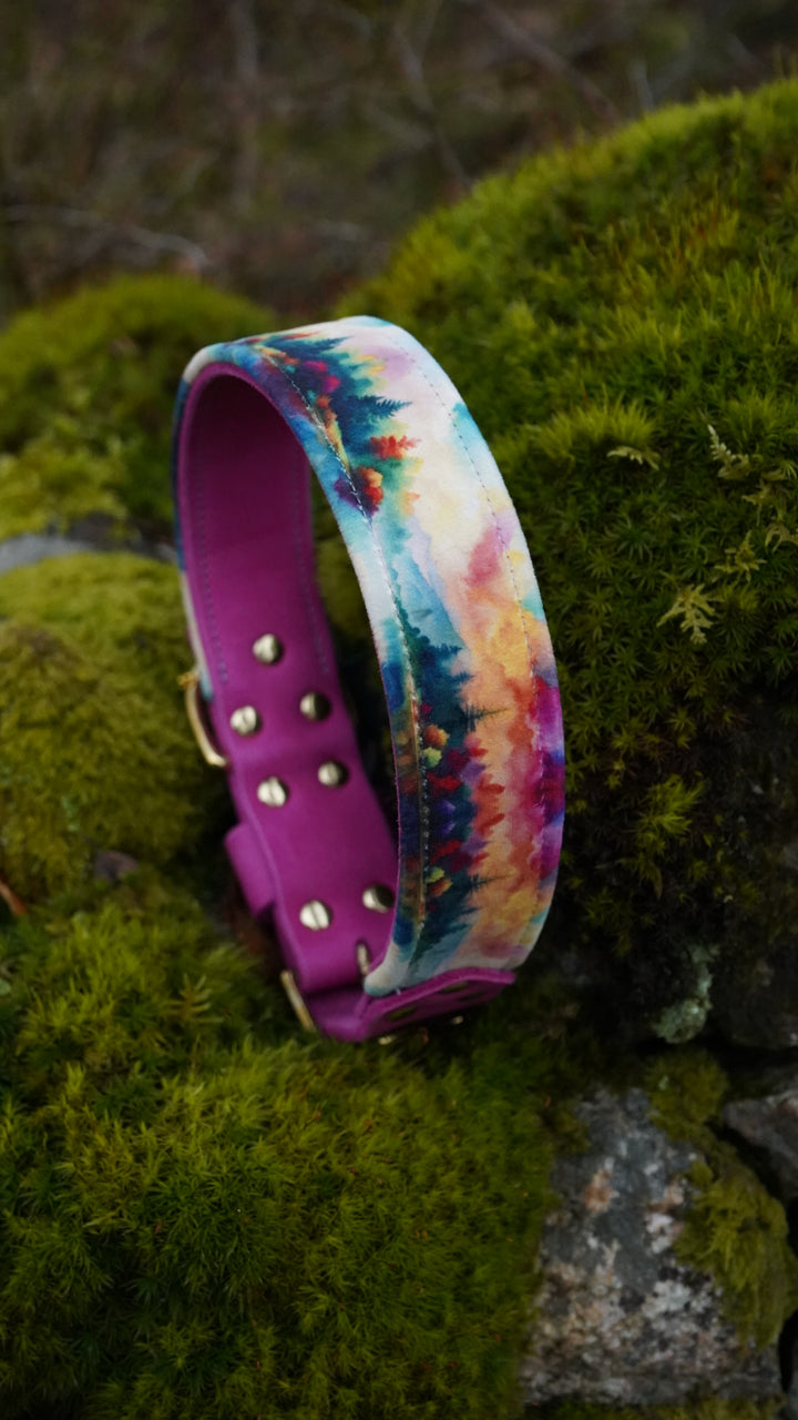 Harmony - Luxury Buckle Collar - Velvet