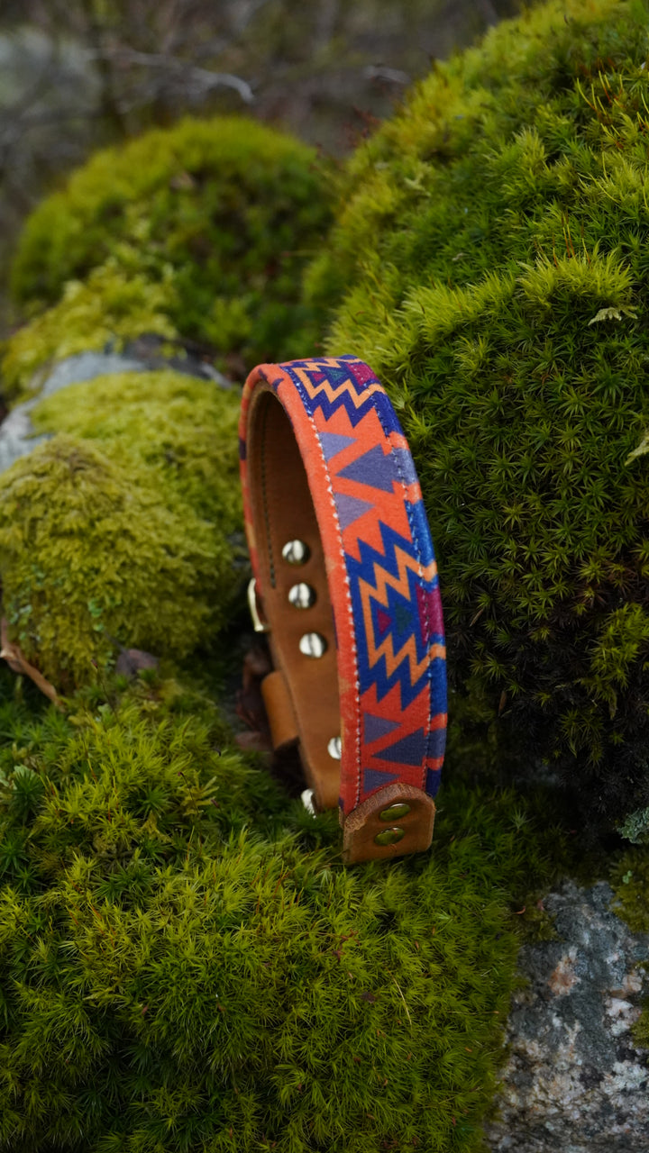 Cinder - Luxury Buckle Collar - Velvet