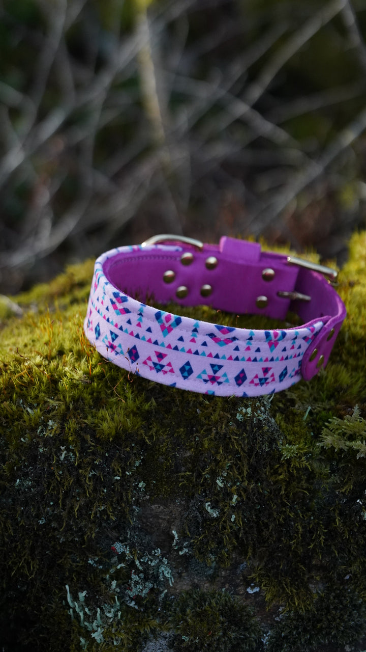 Kin - Luxury Buckle Collar - Velvet