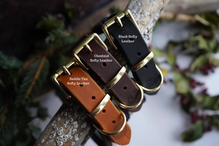 Bears Roam Here - Luxury Buckle Collar - Velvet