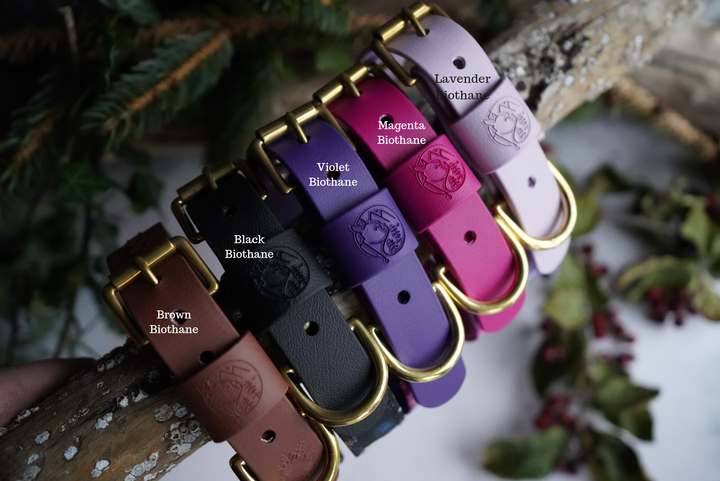 The Whispering Wood - Luxury Buckle Collar - Velvet