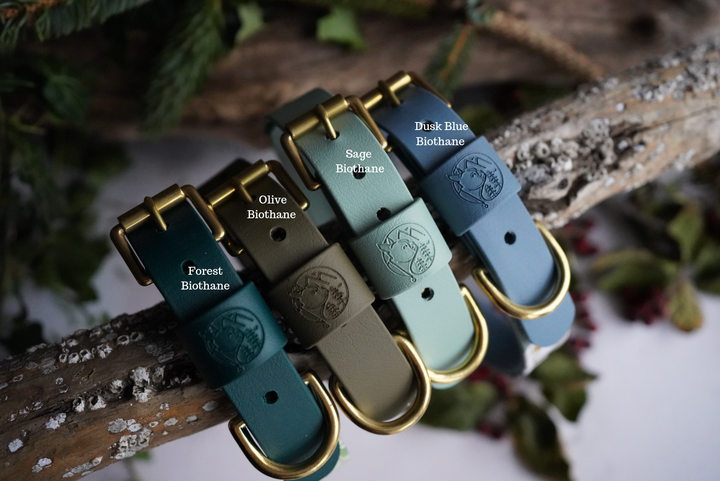 The Whispering Wood - Luxury Buckle Collar - Velvet