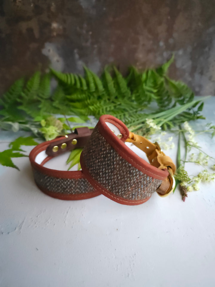Birch - Signature Collar - Wool Tweed
