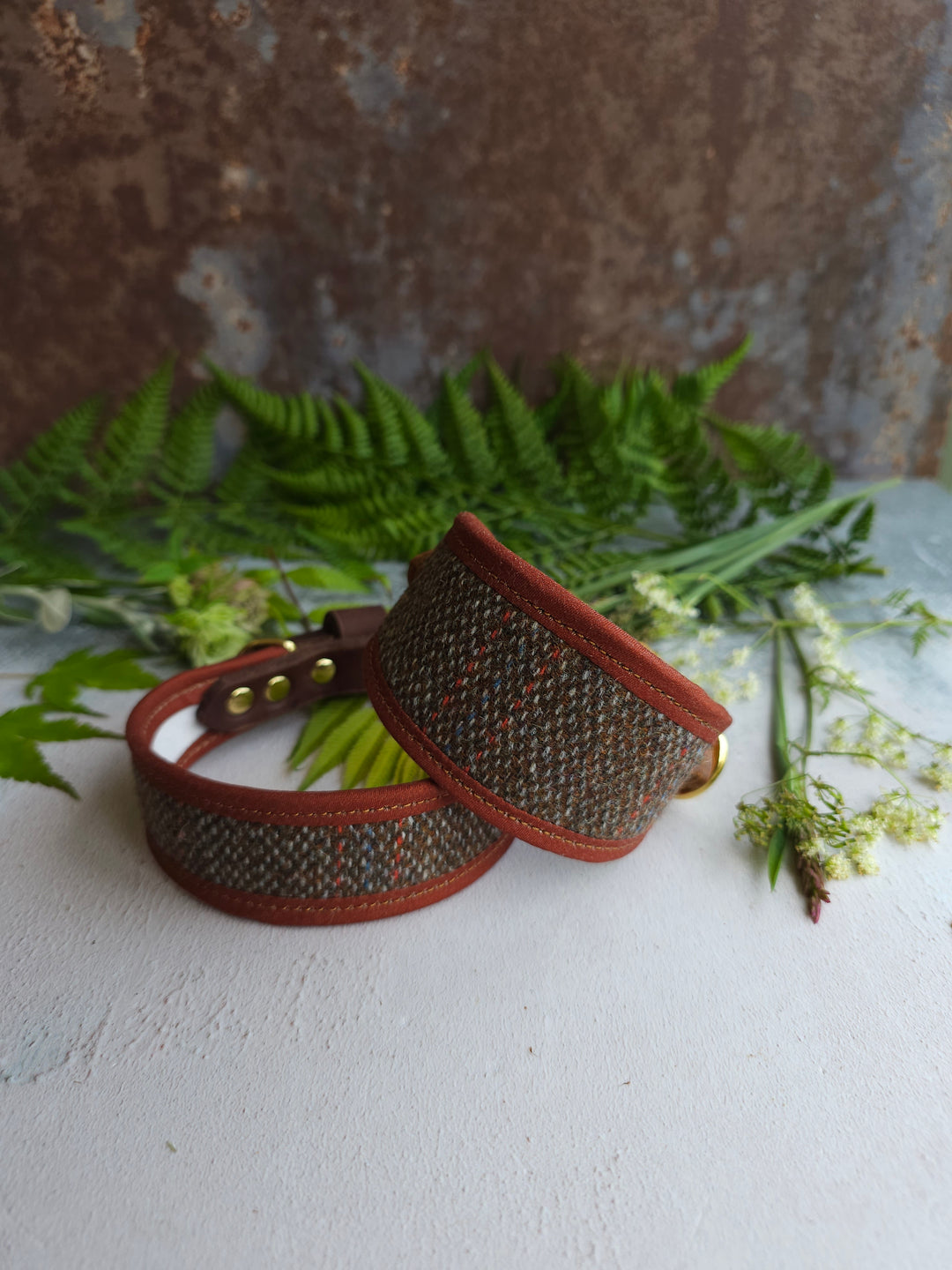 Birch - Signature Collar - Wool Tweed