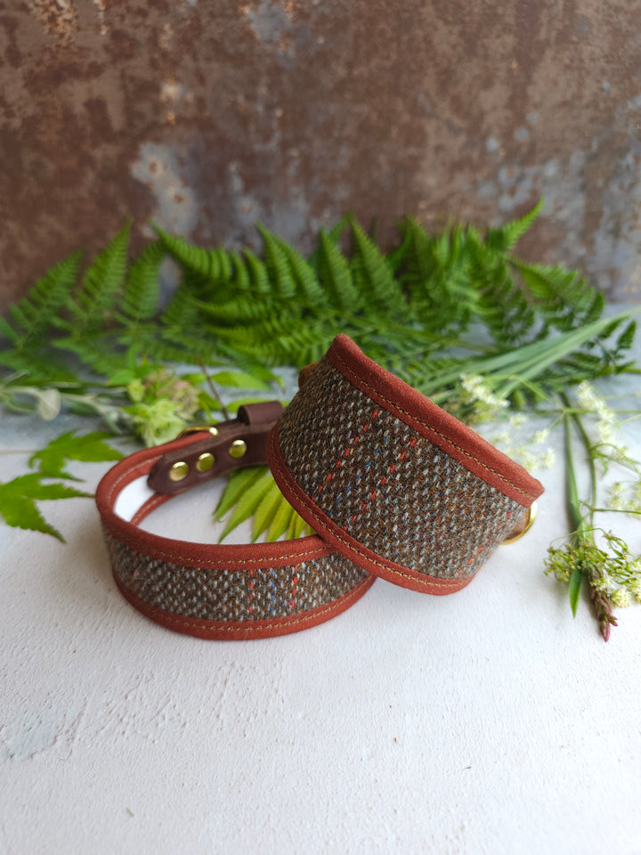 Birch - Signature Collar - Wool Tweed