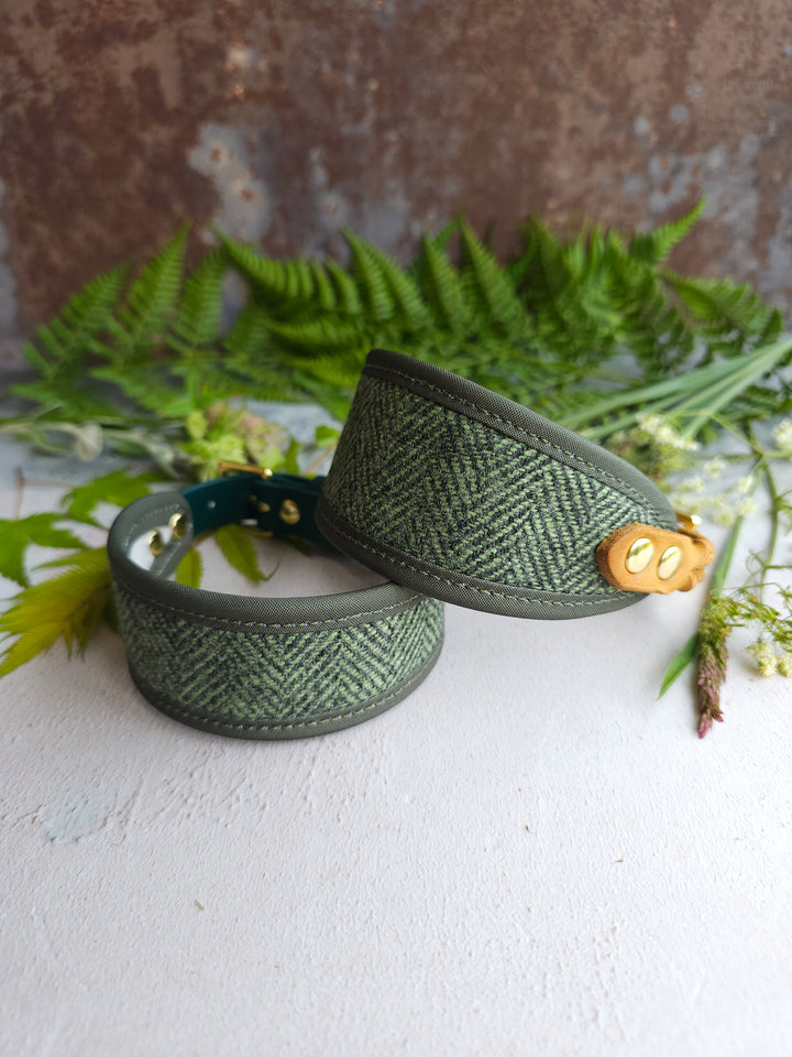 Spruce - Signature Collar - Wool Tweed