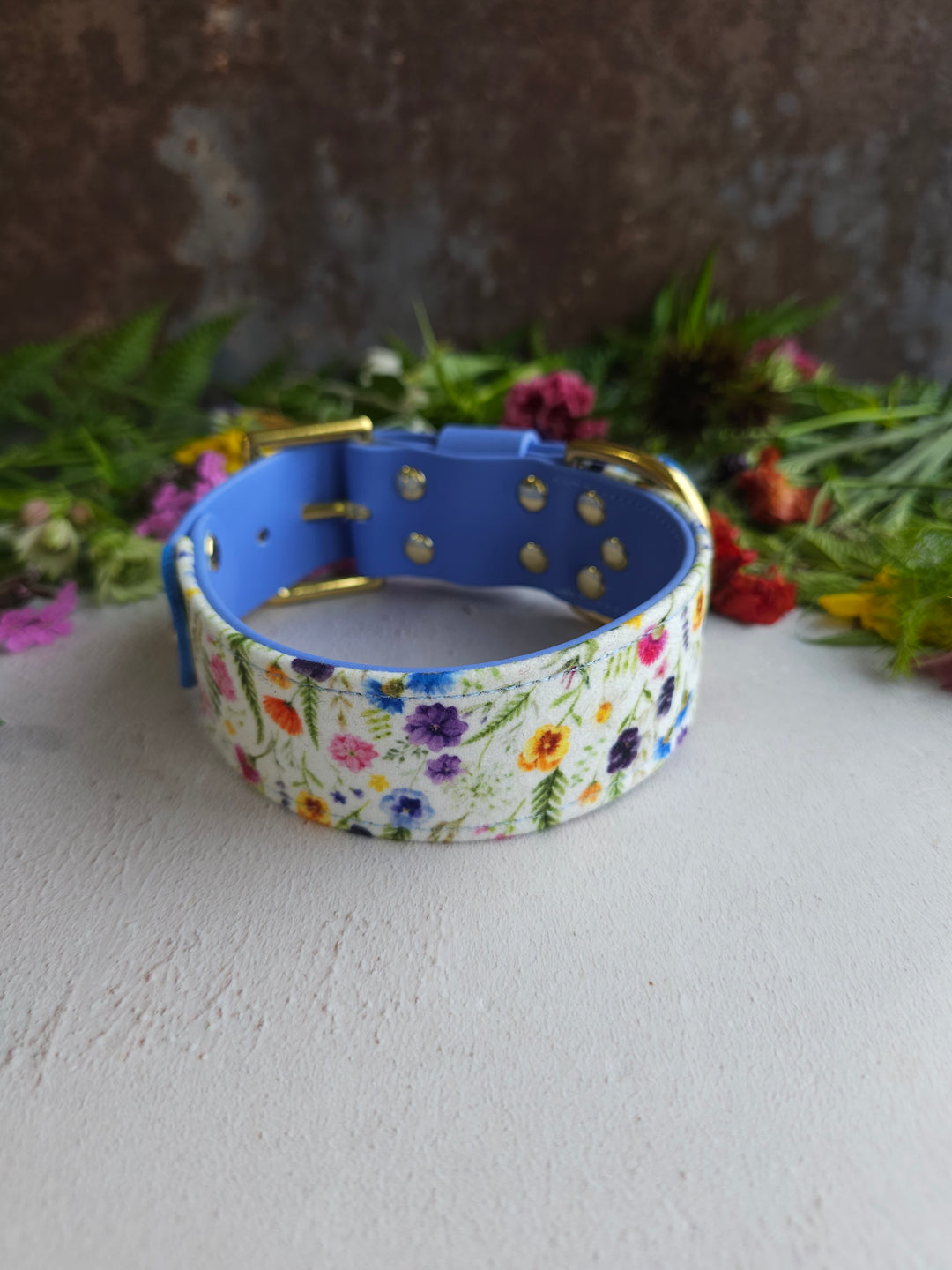 Buttercup - Luxury Buckle Collar - Velvet