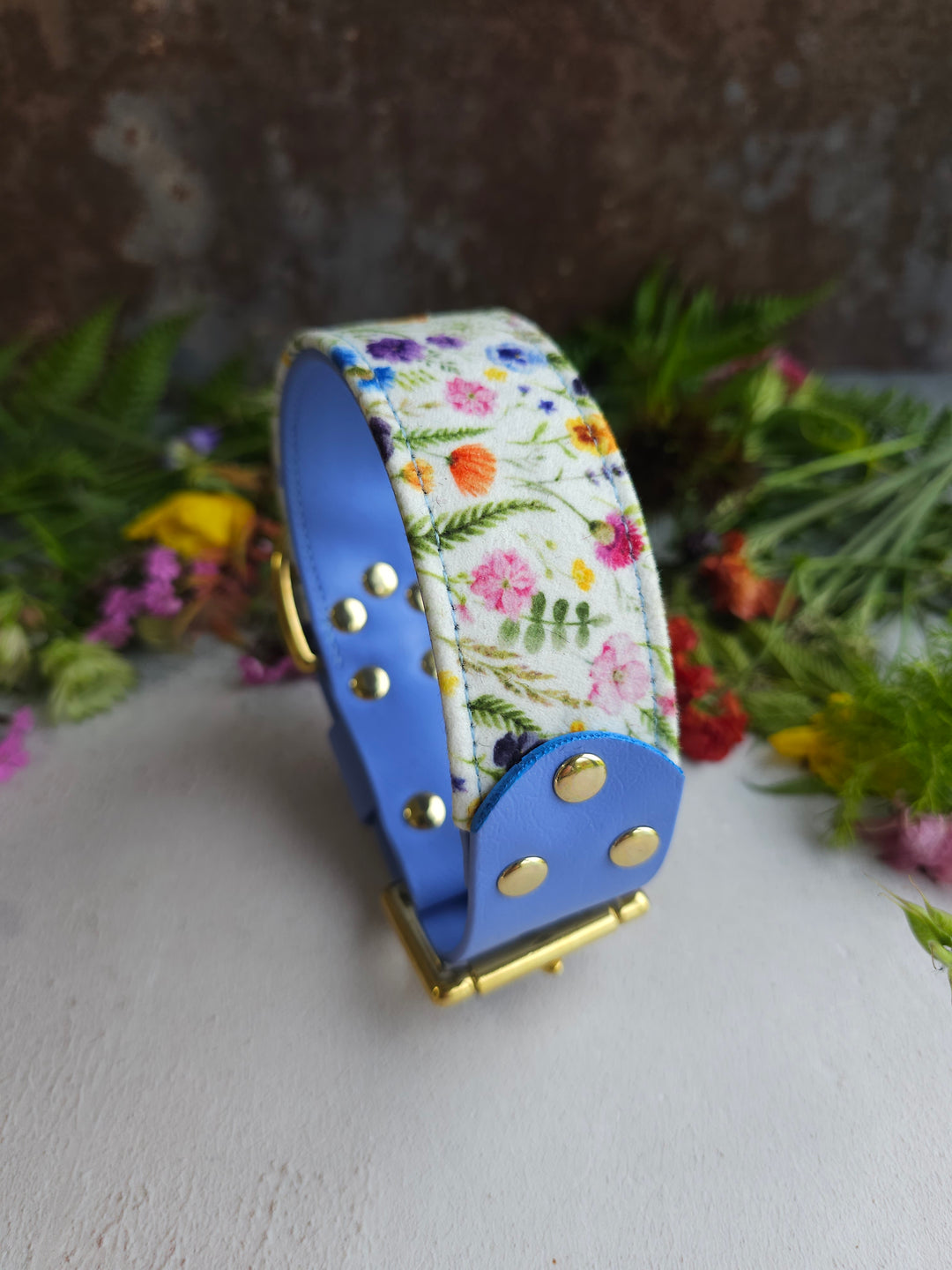 Buttercup - Luxury Buckle Collar - Velvet