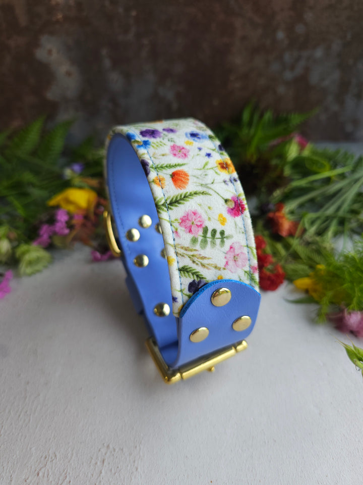 Buttercup - Luxury Buckle Collar - Velvet
