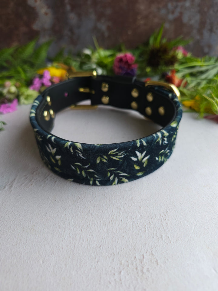 Eucalyptus - Luxury Buckle Collar - Velvet