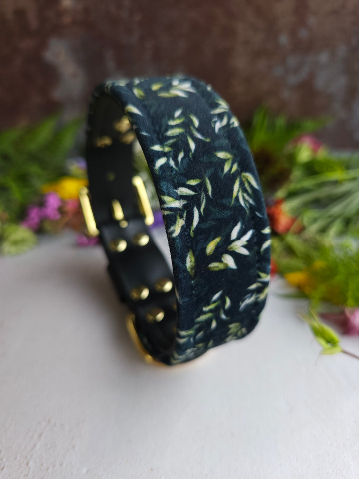 Eucalyptus - Luxury Buckle Collar - Velvet