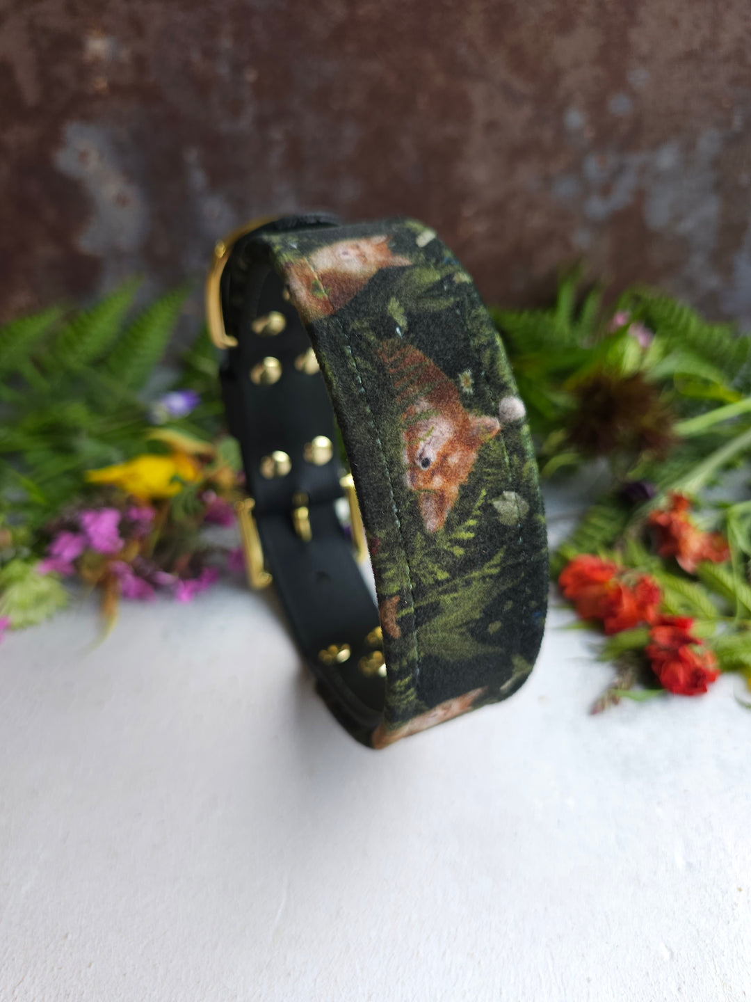 Fox Cub - Luxury Buckle Collar - Velvet