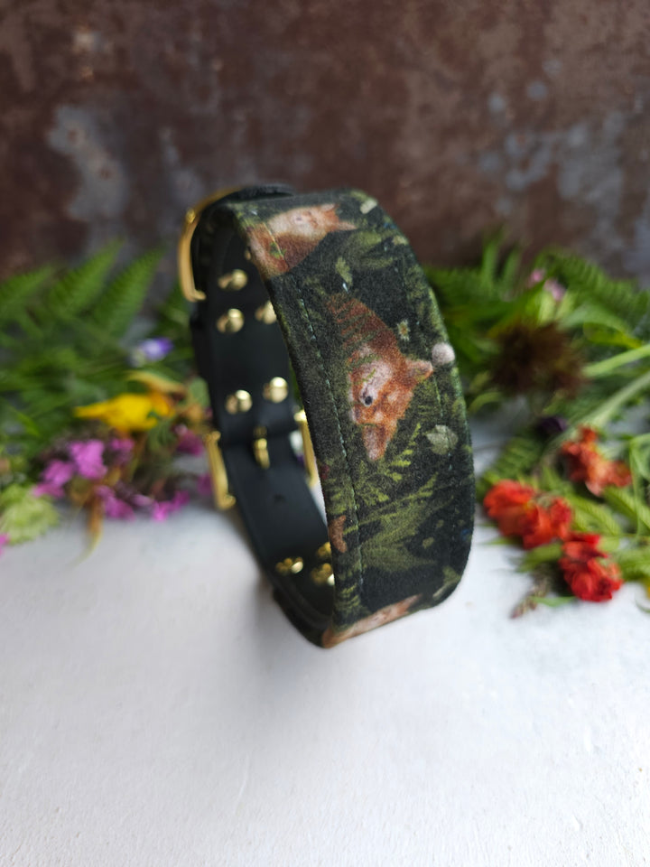 Fox Cub - Luxury Buckle Collar - Velvet