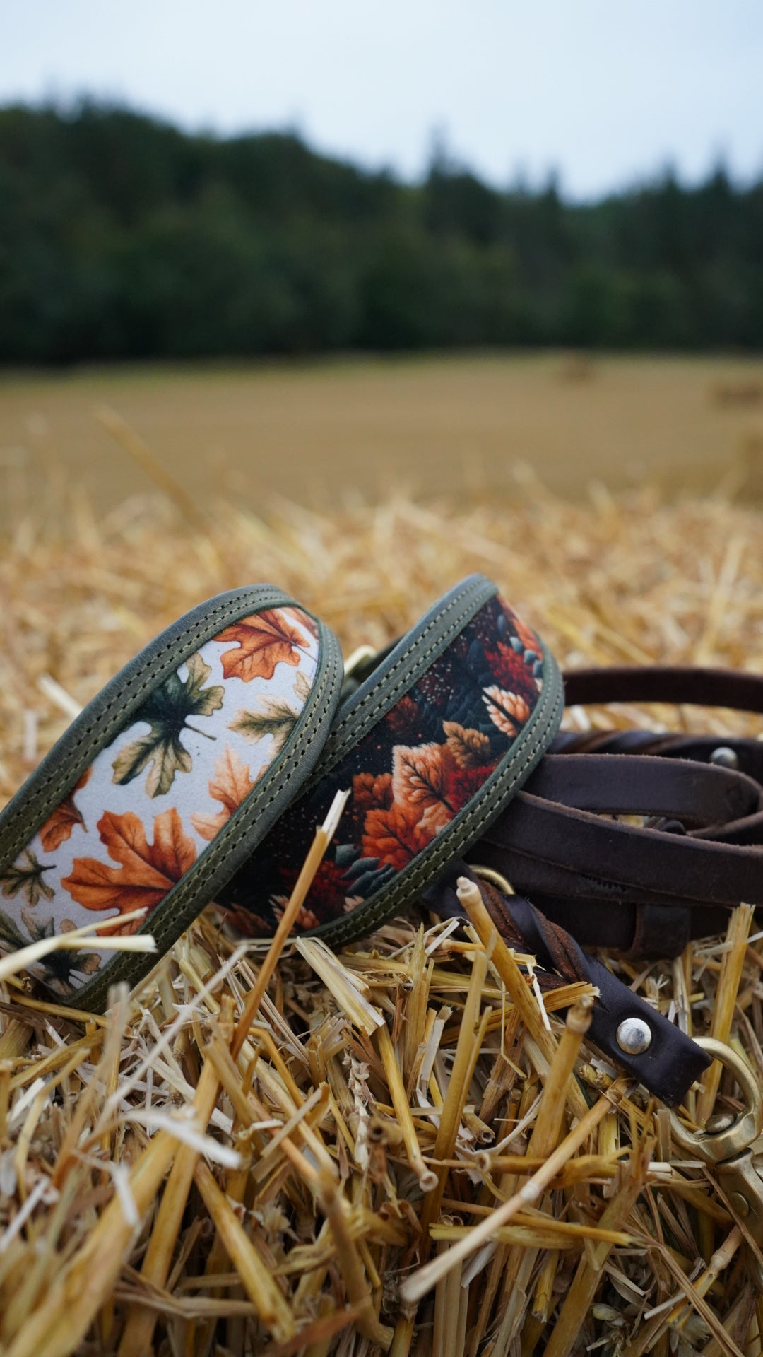 Cutout Tapered Luxe Collars