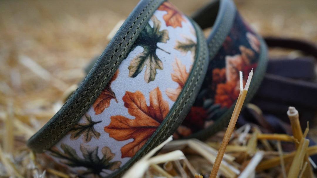 Cutout Tapered Luxe Collars