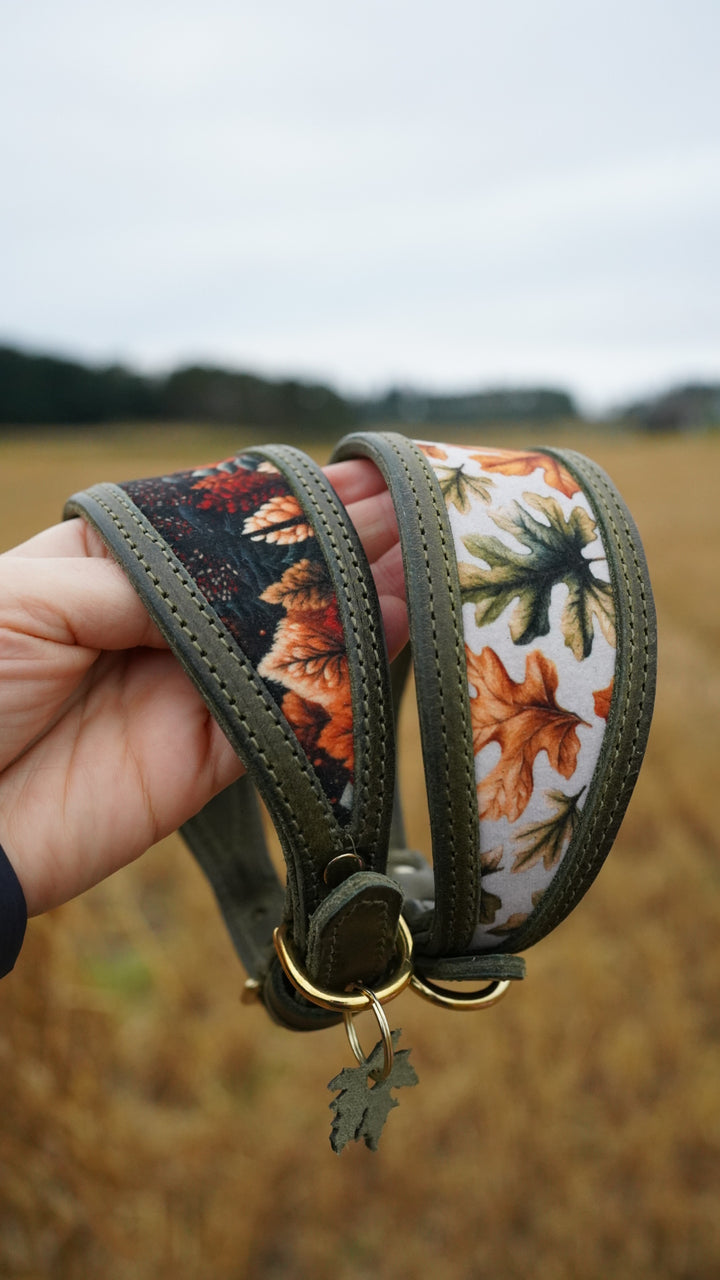 Cutout Tapered Luxe Collars