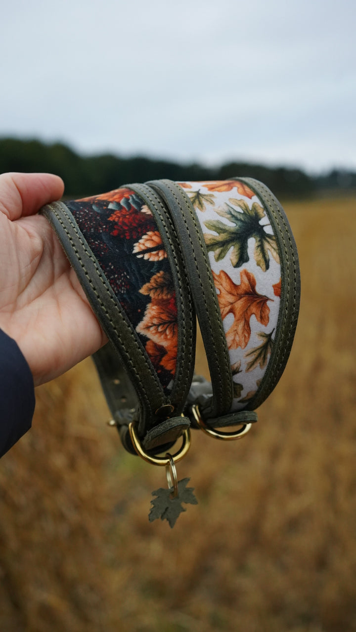 Cutout Tapered Luxe Collars