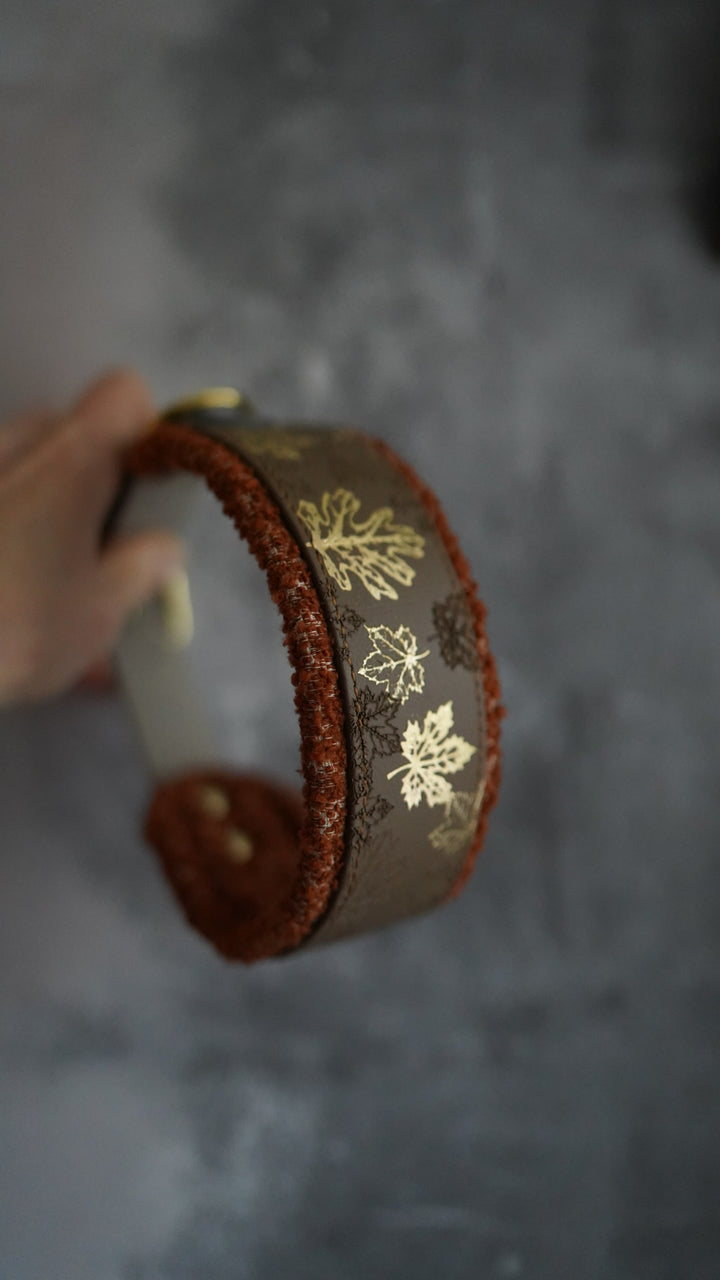 Signature Boucle Collars