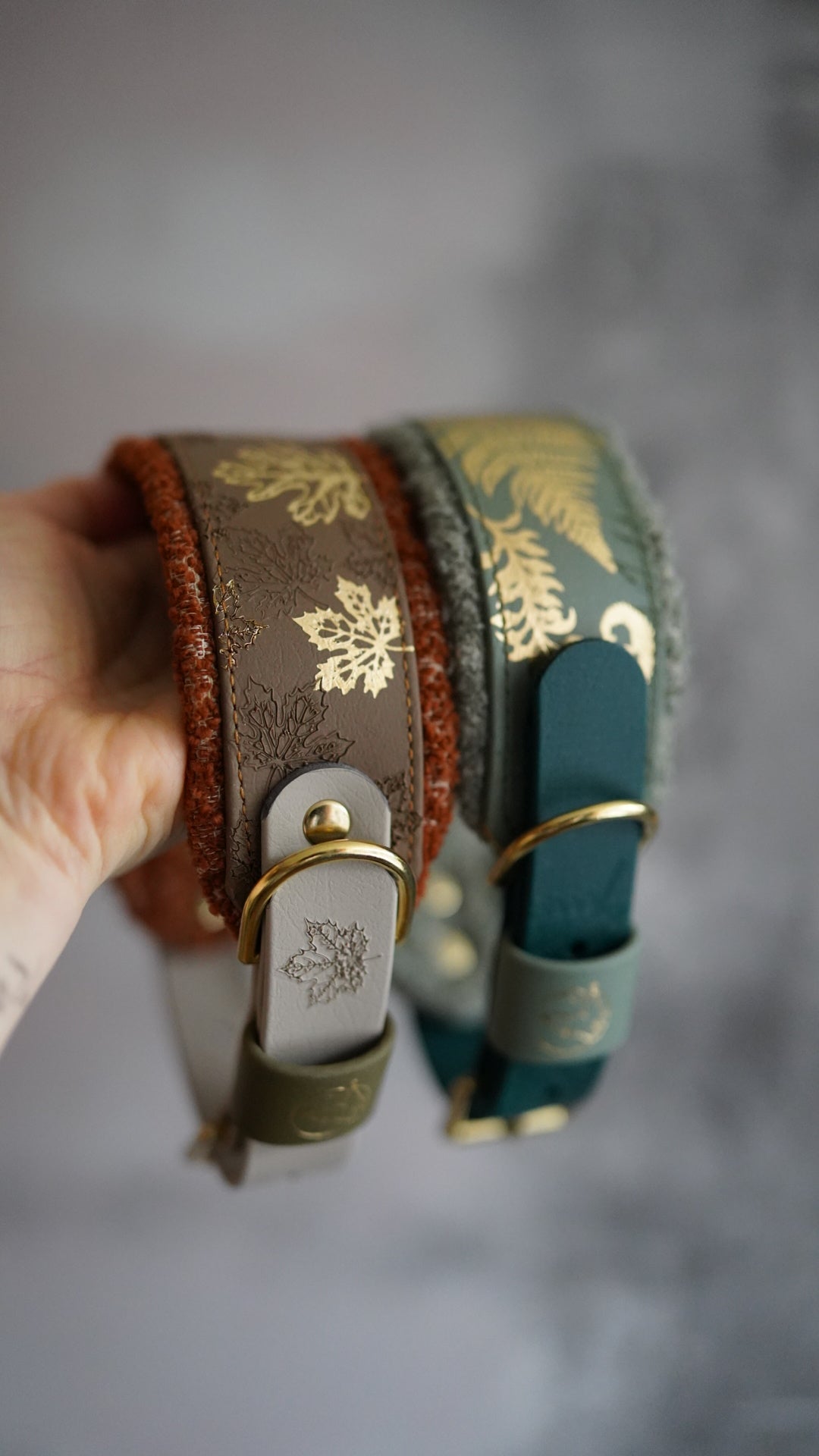 Signature Boucle Collars