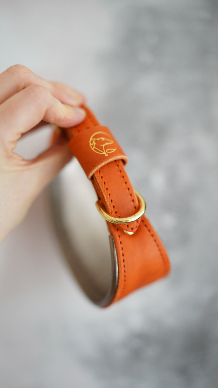 Leather Tapered Luxe Collars