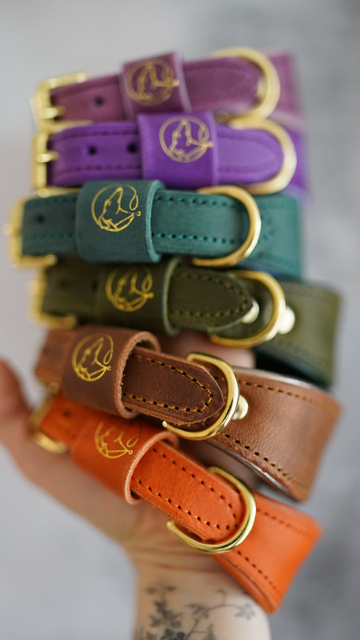 Leather Tapered Luxe Collars