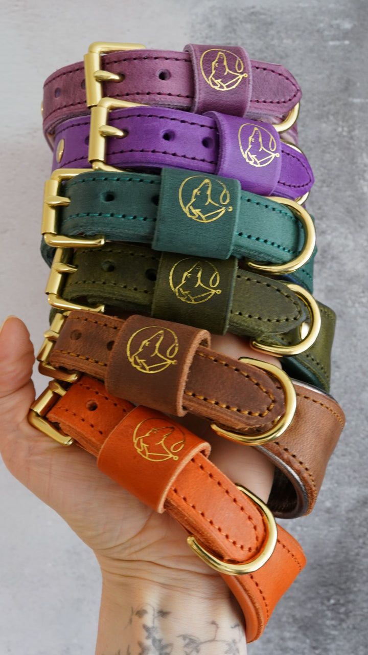 Leather Tapered Luxe Collars