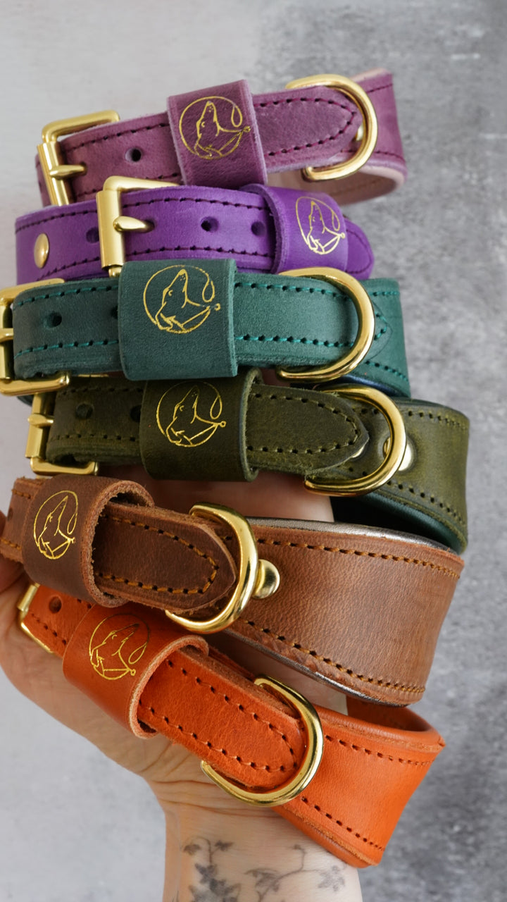 Leather Tapered Luxe Collars