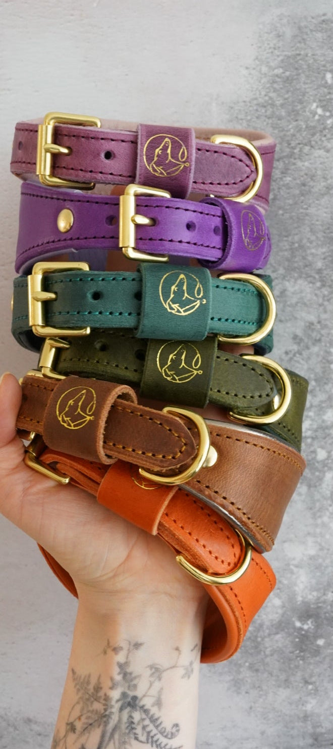 Leather Tapered Luxe Collars